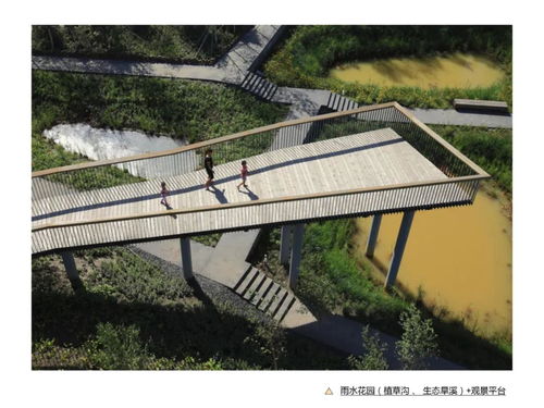矿坑公园设计 2021浙江农林大学风景园林真题深度解析